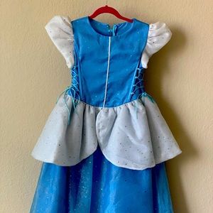 Beautiful hand made Cinderella costume